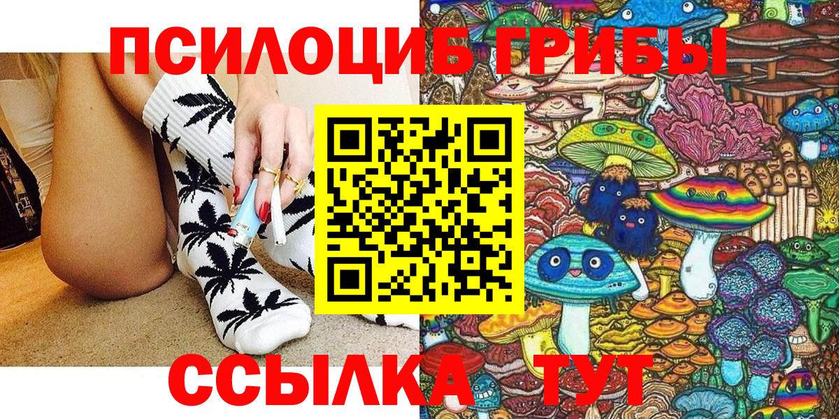 Ульяновск  где купить наркотик  Вход с VPN  Галлюциногенные грибы Psilocybine cubensis 